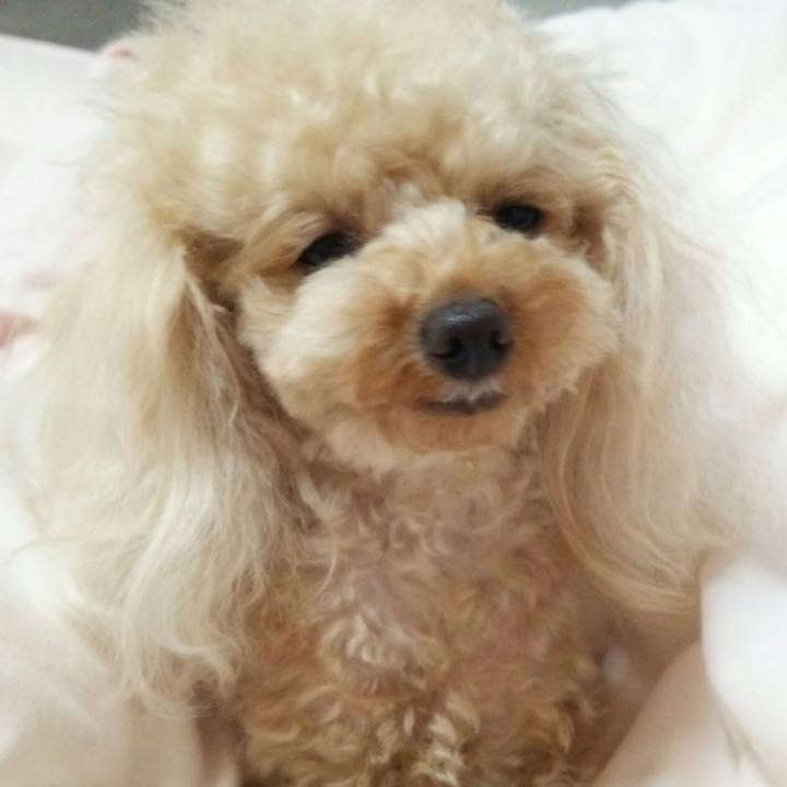 31f10e5f 673a 4b2d a92e 3f830968465d 1535154565744