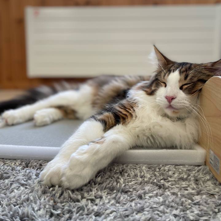 31f119f6 c4b7 4bee b7f7 f4c1428604f2 1641775696893