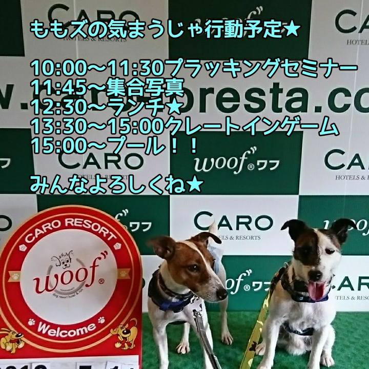 31f14b19 2846 41da 9f11 4c92d946f279 1535112330134