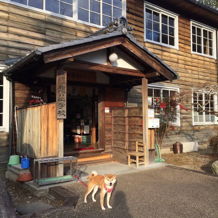 31f19746 83f5 43d5 b00f a9bb46a0cae5 1514192760020