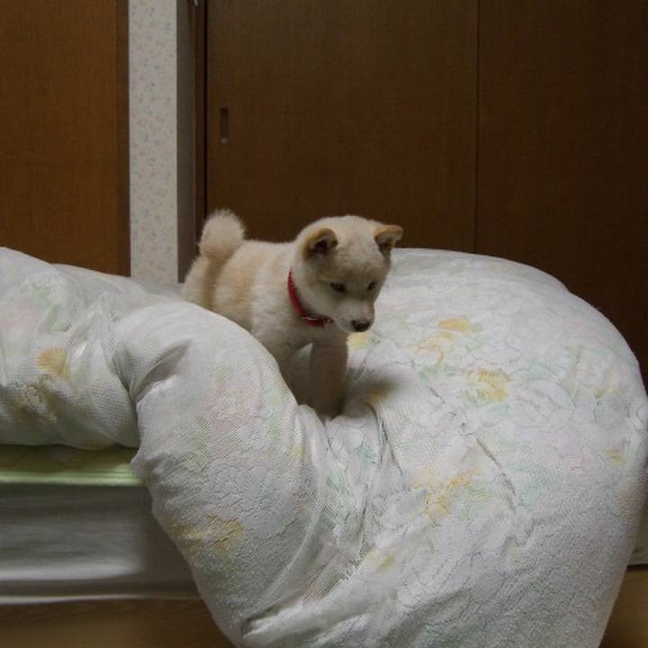 31f1b7d5 94bf 4319 bfde bfd5a81edb55 1663255315556