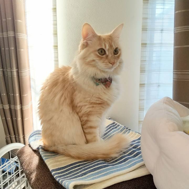 31f1ed37 2382 4e95 b7a7 09cdb04b2bf2 1643336608993