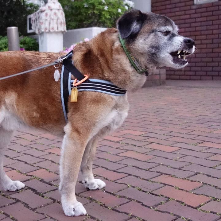 31f2192d 3e28 4795 9500 b292dbd841c0 1556793389288