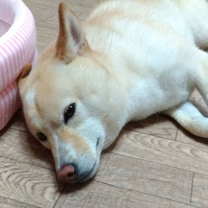 31f228ae 2e4f 4811 9ba8 97914b932818 1596493663036