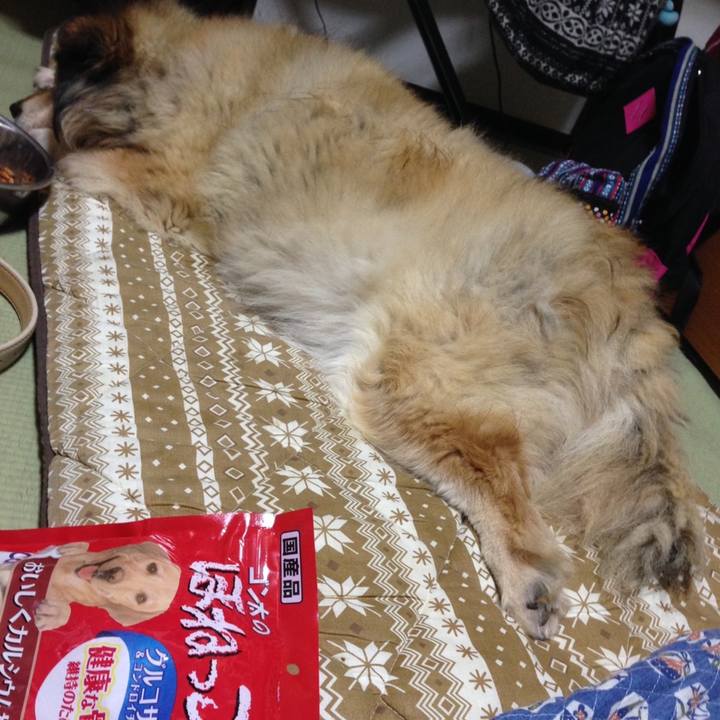 31f22a56 20a7 495c 9eb4 df7f6cfeed4e 1621657605295