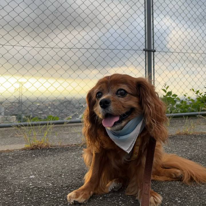 31f2688e d9f3 4ab5 87fe 1e36e330e10e 1726276700936