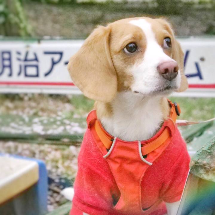 31f28d30 615f 450c bae5 17113e3c3ab0 1585574204391