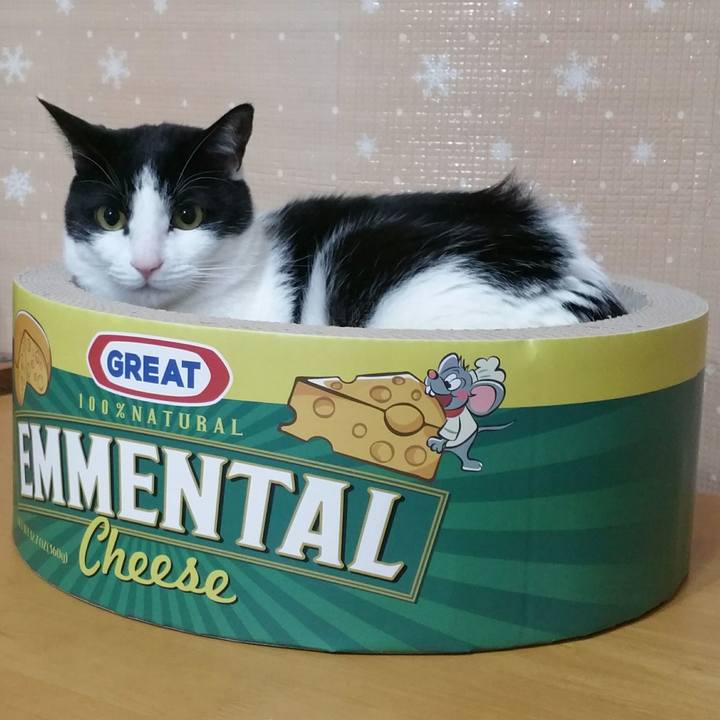 31f2bad4 779a 43ff a154 cf8c86615fae 1549028889062