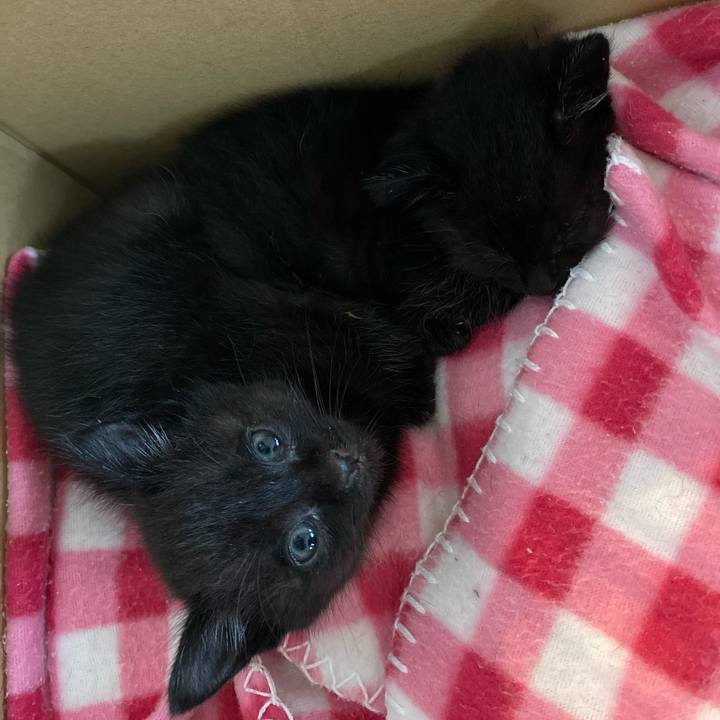 31f2d4e5 ea6c 45ea 9cdc f98225f9d360 1621474222784