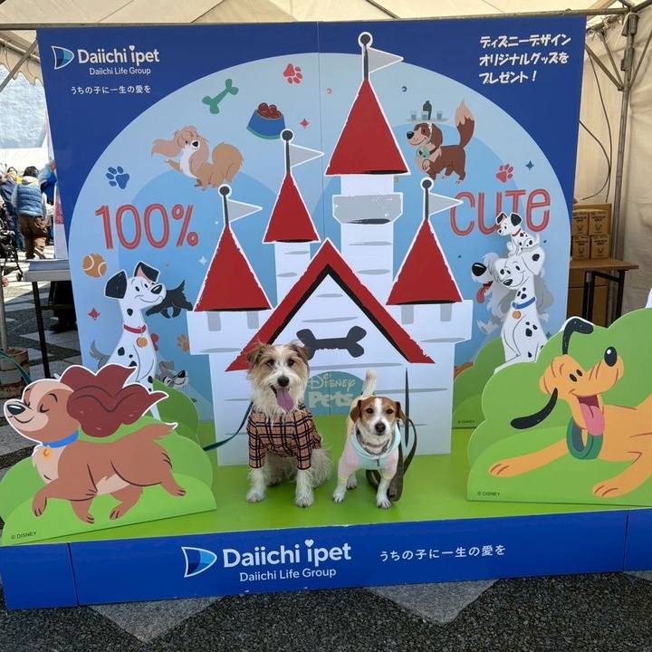 31f2f5ea e297 4684 b502 0a95e29142f5 1774176870601