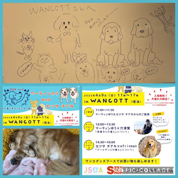 31f333e8 b784 4cf9 a2b9 64fa3ee96722 1681049880436