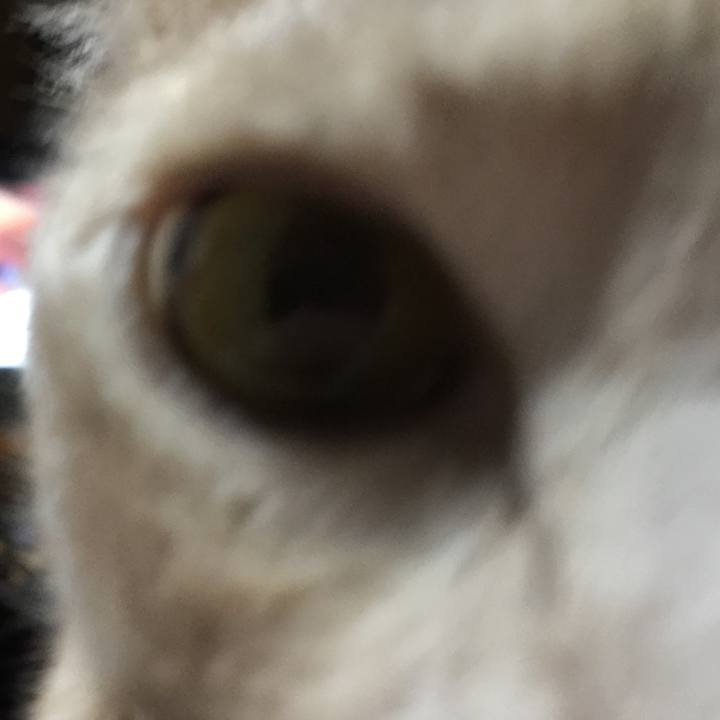 31f34f7c f89a 4f74 be0b 500d85af17e7 1543322530481