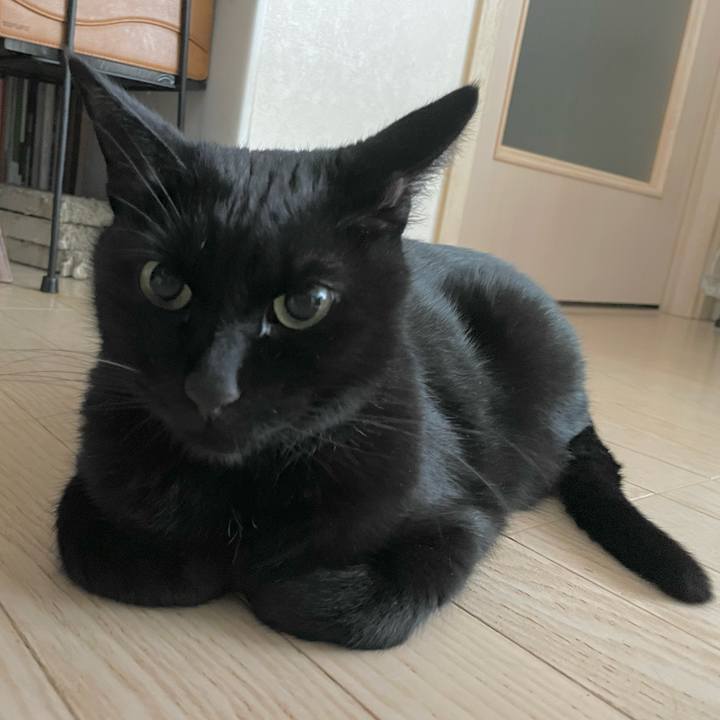 31f35151 83fd 40f0 abc3 2009fcbef995 1704004090169