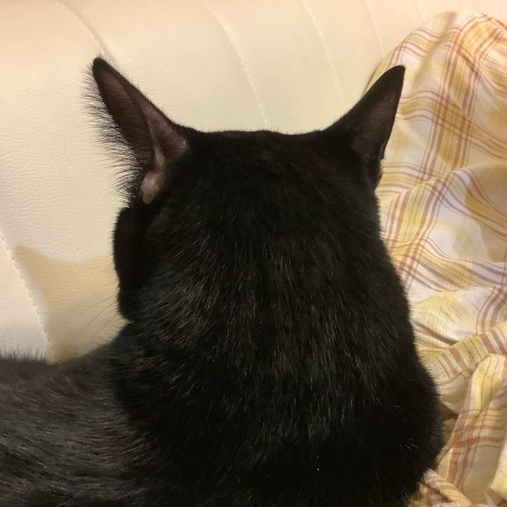 31f3818e 0b0d 4556 b88e ad1f58ff0785 1566917263492