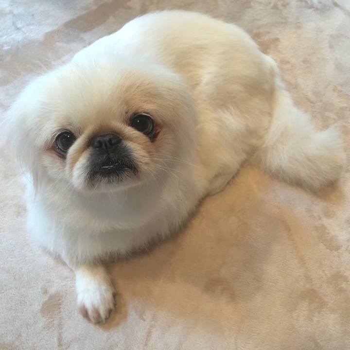 31f389f2 0c26 4da8 9b42 3dc9ed32d0f6 1534425885849