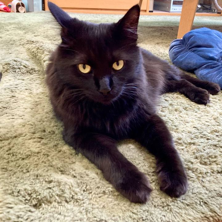 31f39abf 9093 42a3 b9be 8334122aa74d 1751781074572