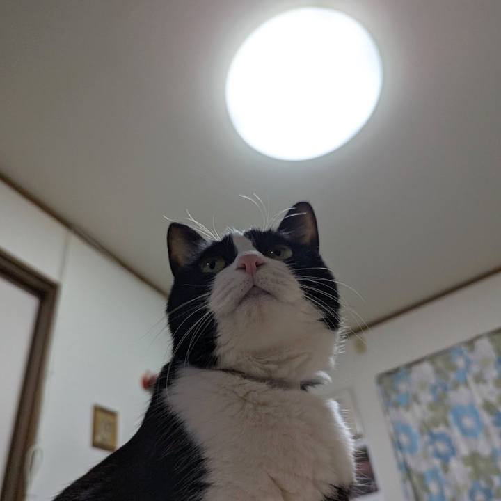 31f3aa5b 6508 4afe 87af 5017a4bcd01e 1741343546301