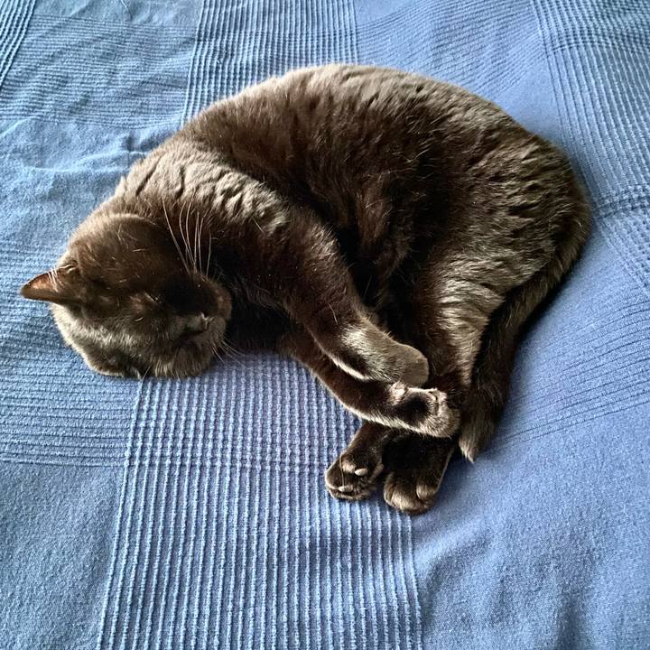 31f3b265 4a5a 4c82 a1bd e9a1e19e4410 1655427609972