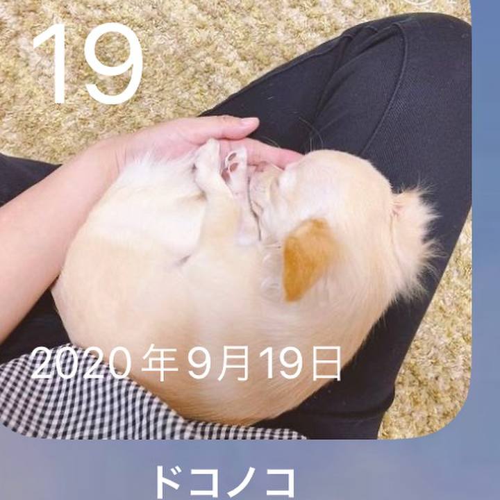 31f3f33c e115 429c a2d0 069e7d5bcce3 1695115119081