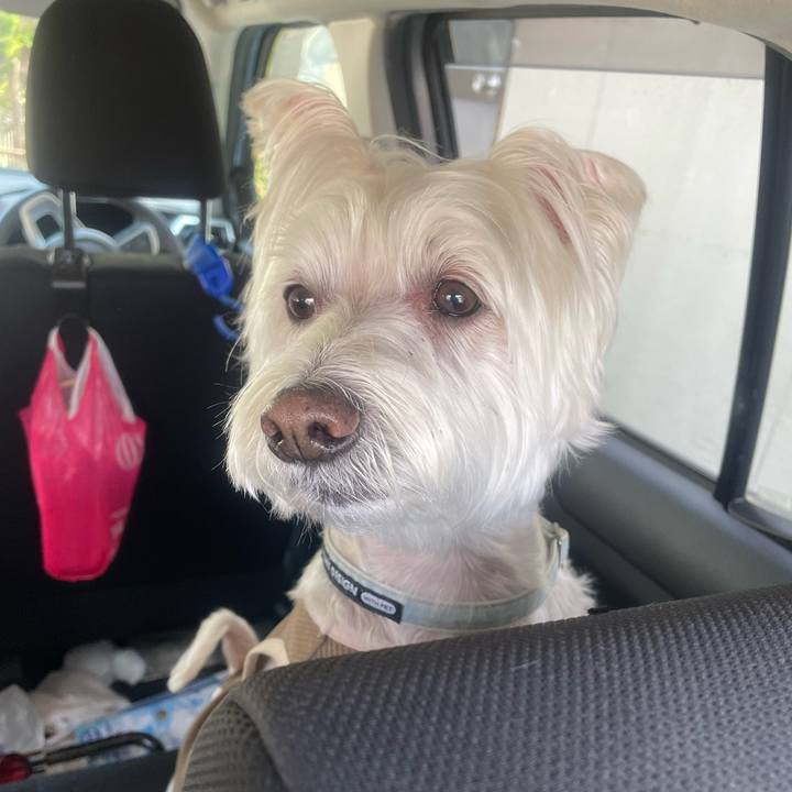 31f409ce 9394 468f a6f7 da40223544d9 1745633776581