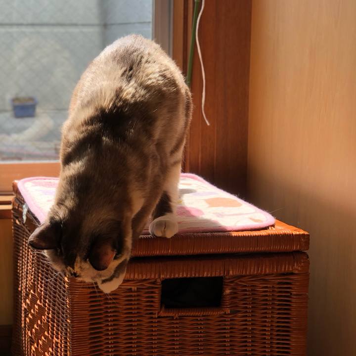 31f40bdd 82a1 4a09 bcb9 6c5ad81049c0 1773511873068