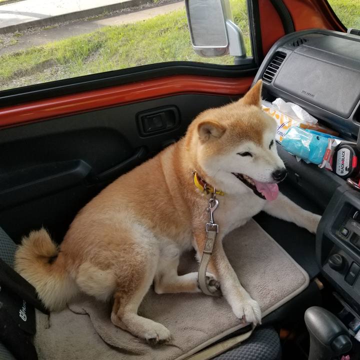 31f419e6 fe8a 4f5d b91a bae2e7905d0f 1688631906536