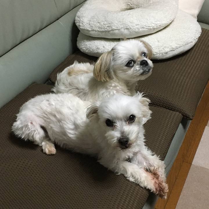 31f44e51 77b2 413d 8cdc ef71e9835185 1607906777892