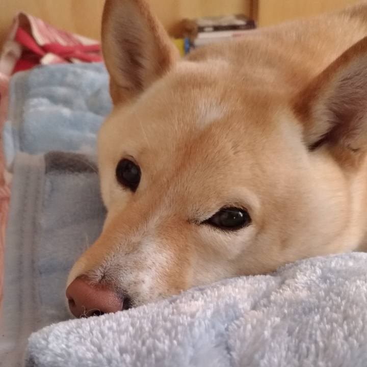 31f48c3f b26a 4100 88fe 1c5720655a91 1609889479138