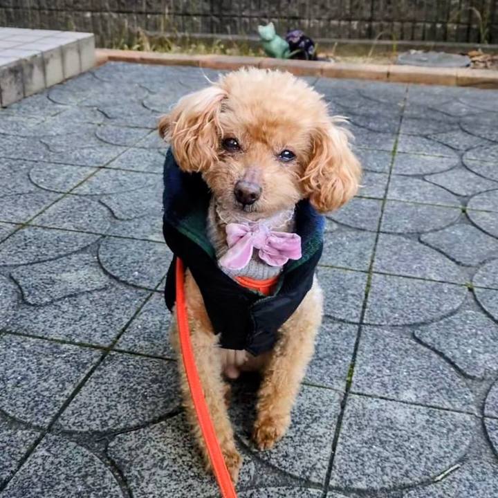 31f48da4 1009 46f1 80f0 b9242c58b1d7 1770597068317