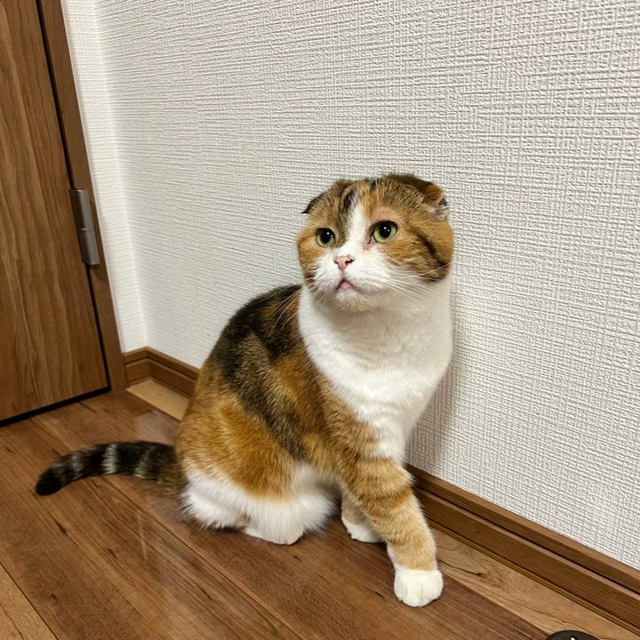 31f4ac3a 436c 4c8d 8a52 66d5df1a72d4 1718964532519