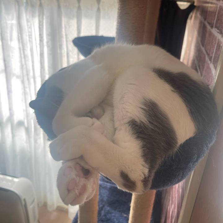 31f4c8a7 05a9 4683 a6db 5ba2edd6956f 1669076032543