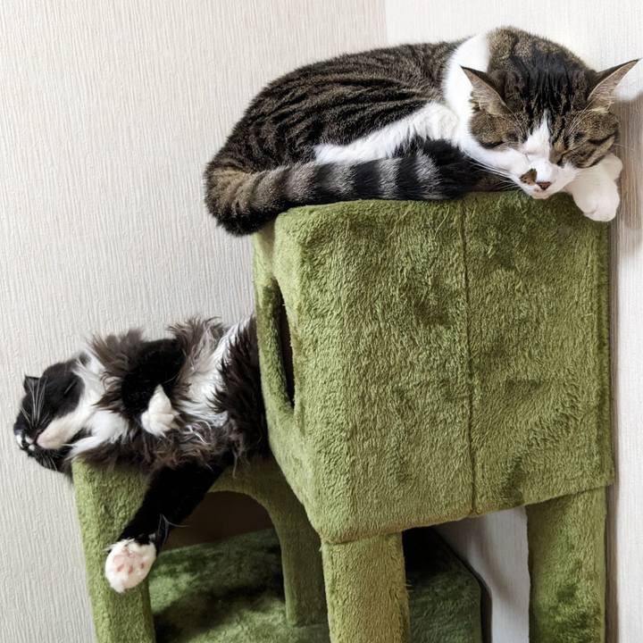 31f4e198 5c21 4674 a9ce c3d7561250e0 1690873879211