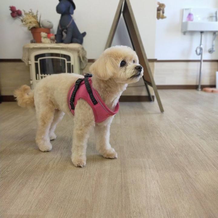 31f51959 0e09 4ca0 ab90 020b712eadb4 1634564018394