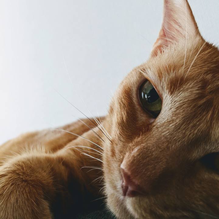 31f53871 70d1 415c a350 3b39ed428820 1662602532293