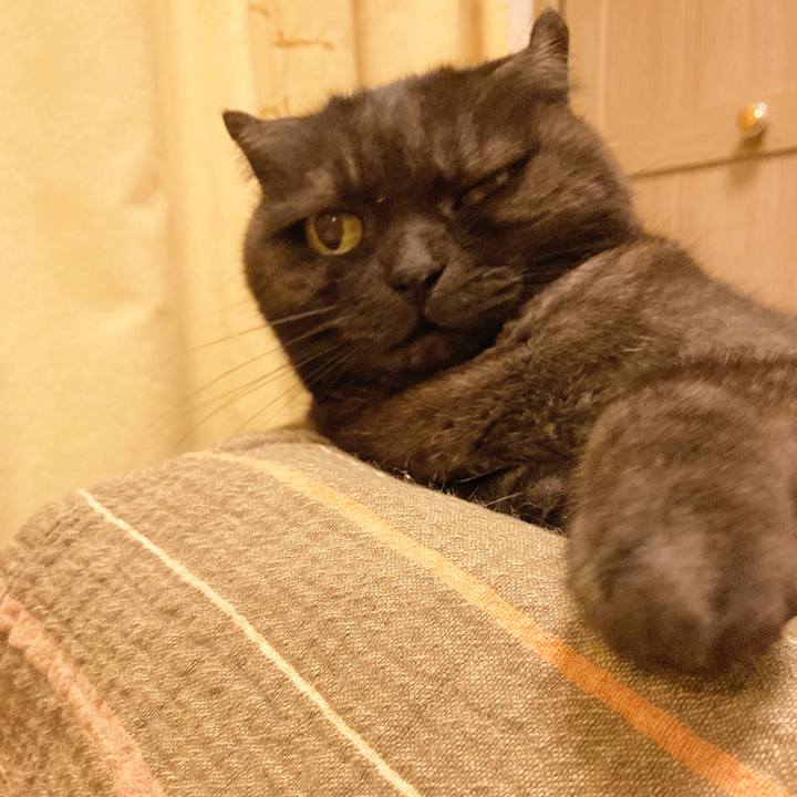 31f53dc6 8fc3 4597 bbfa d3bf44b16775 1591021780187