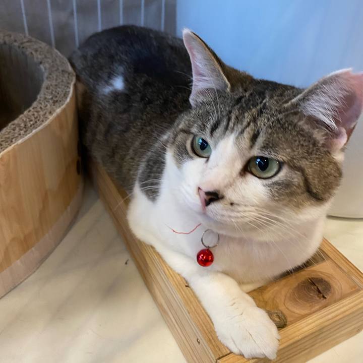 31f58e4e c590 4a17 b41a ae395e042327 1714897542382