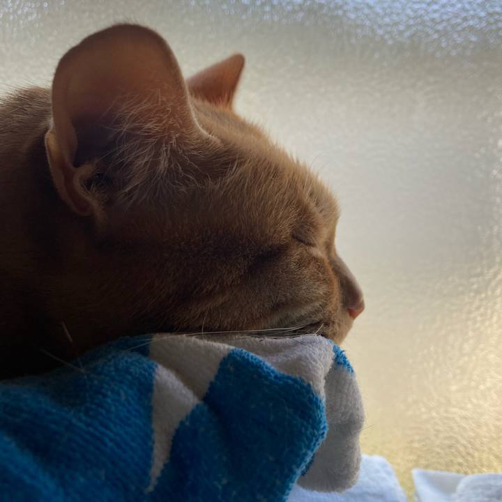 31f5b45a fdf1 41b4 92c1 aca3842c388a 1682810052456