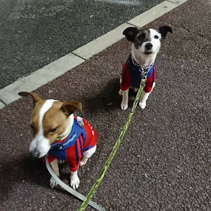 31f5e308 1bed 456e ab22 36ad890ab043 1549885204766