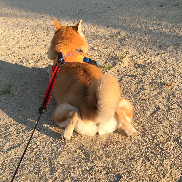 31f5fbfb a76b 4dd2 a0de f266888c4625 1597661515634