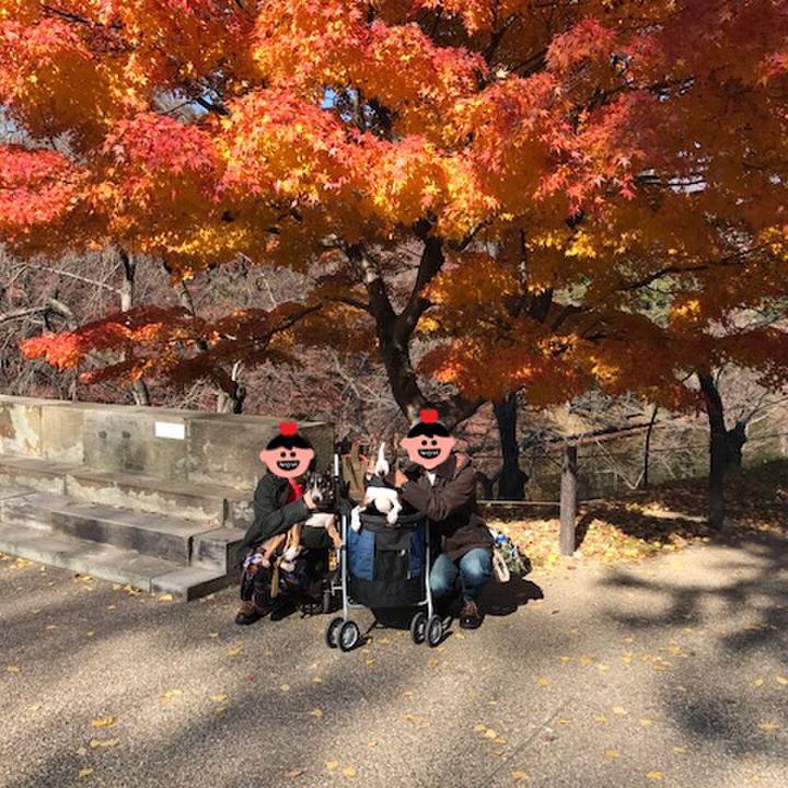 31f5ff49 5c7a 41f7 b936 7ce90ed7d1b8 1510905737171