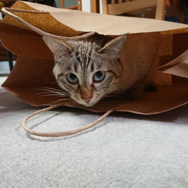 31f61766 e87d 4437 b177 c5b183b27107 1602847674595