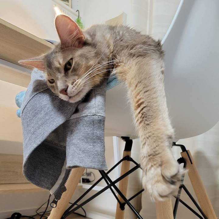 31f66d74 6591 40e8 bcde 47be41d289a2 1634820224558