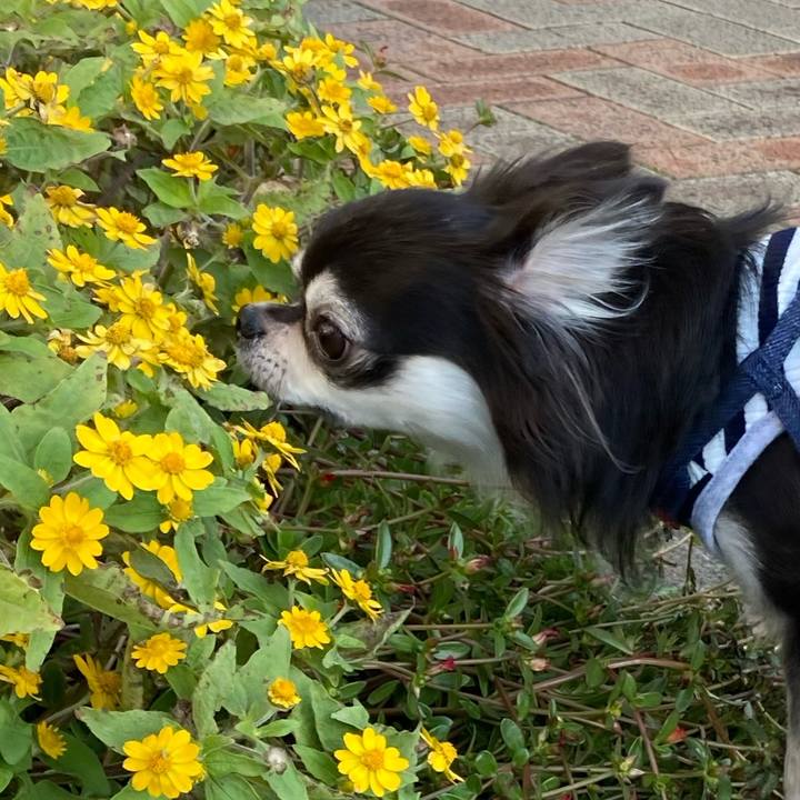 31f6a4da 0d05 414c aaf6 5460ae76b207 1667055028234