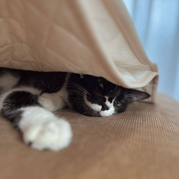 31f6c74c 8e87 42bb 918a 7027948e3a9d 1753176477924