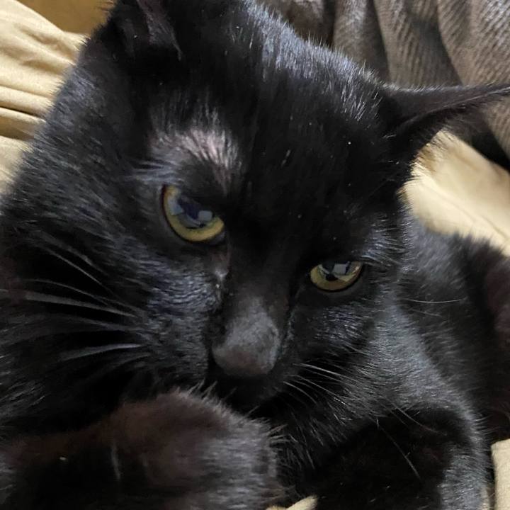 31f6cb23 0fb2 4bb3 bfe2 75917d3ce86e 1618398244514