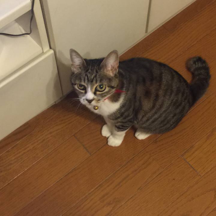 31f6dfc1 9bcf 4c4b 8b1a ab230cb40aa7 1557068324591