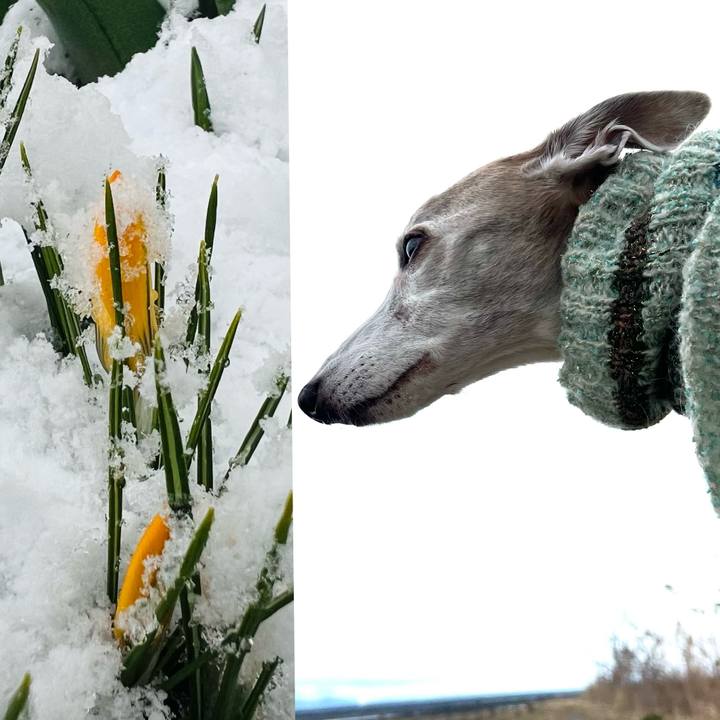 31f6f184 8444 42c4 8995 5b6957630f7a 1774080337642