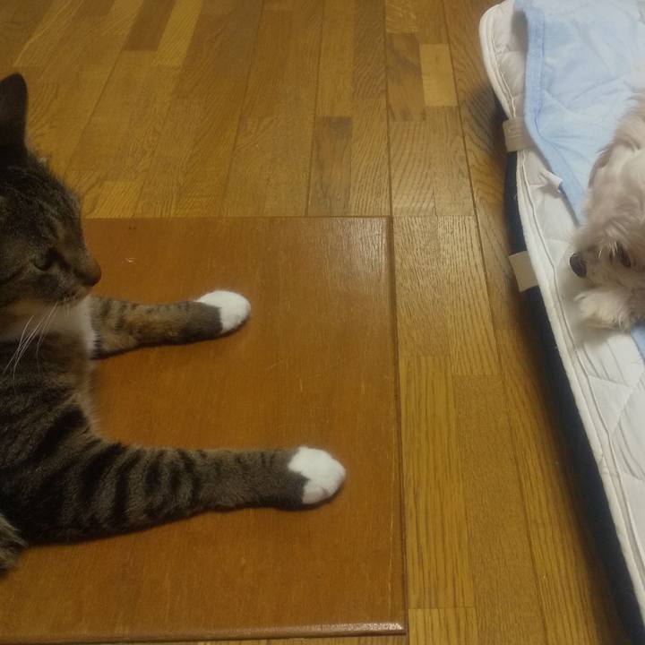 31f70476 27cb 4193 9263 35de1222a204 1695788531342