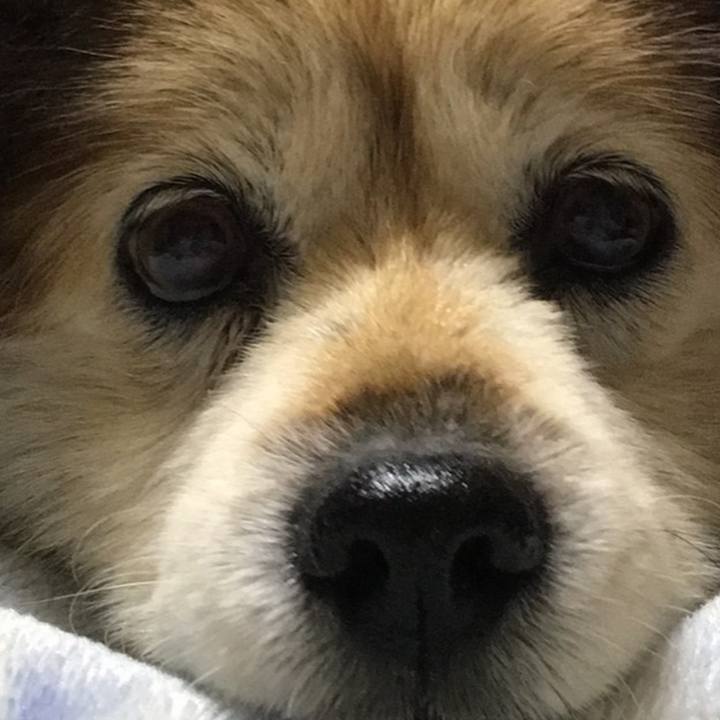 31f72458 6d61 4dd9 99ab 68a532549dae 1597143385442