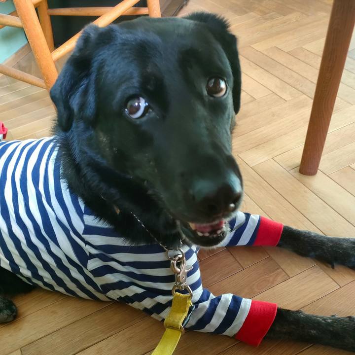 31f72b81 0588 4308 b4da 489b51845509 1668763157545